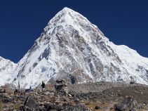 Pumori