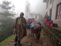 Start Everest Marathon at Paknepani
